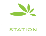 Strain Station UK