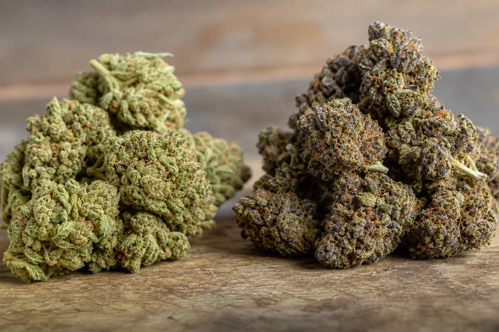 Cbd flowers vs thca flowers: what are the differences? blog-list-item 0