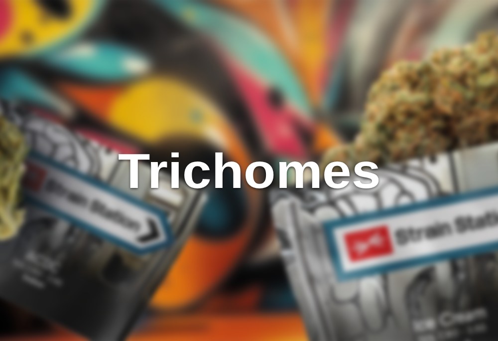 Trichomes