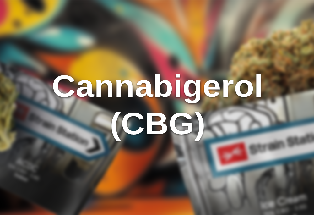Cannabigerol (CBG) blog-list-item 5
