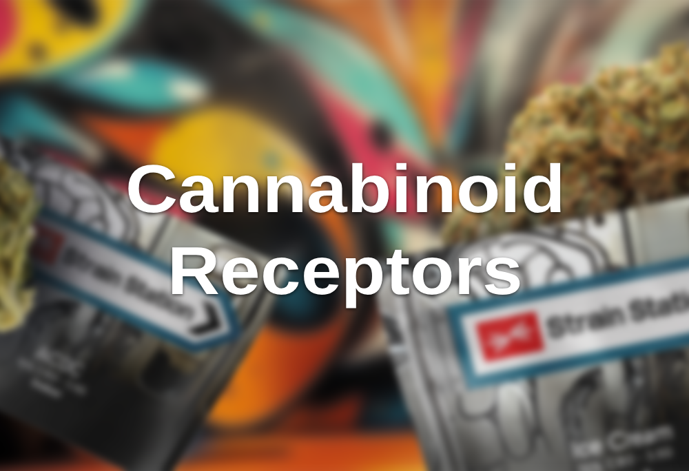 Cannabinoid Receptors blog-list-item 4