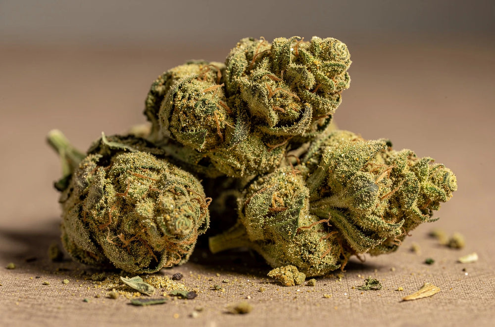Moonrocks cbd : what they are, how to use them, who they're for blog-list-item 0