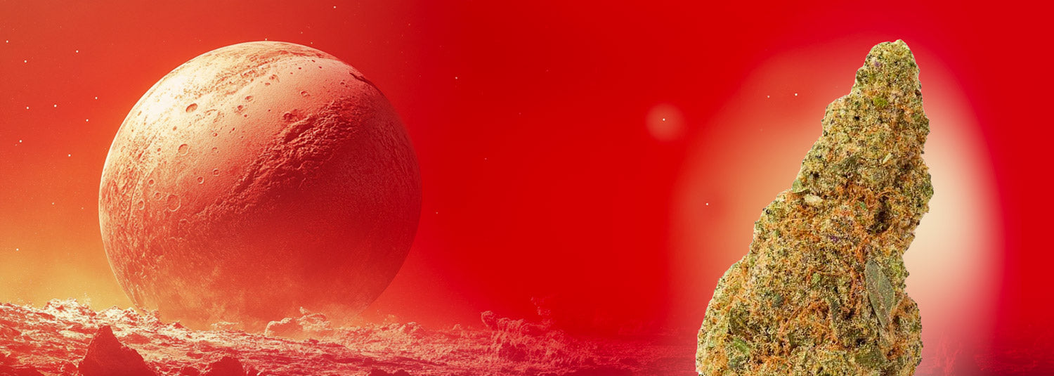 Escape Gravity with Plutonium CBD Flower slide 0