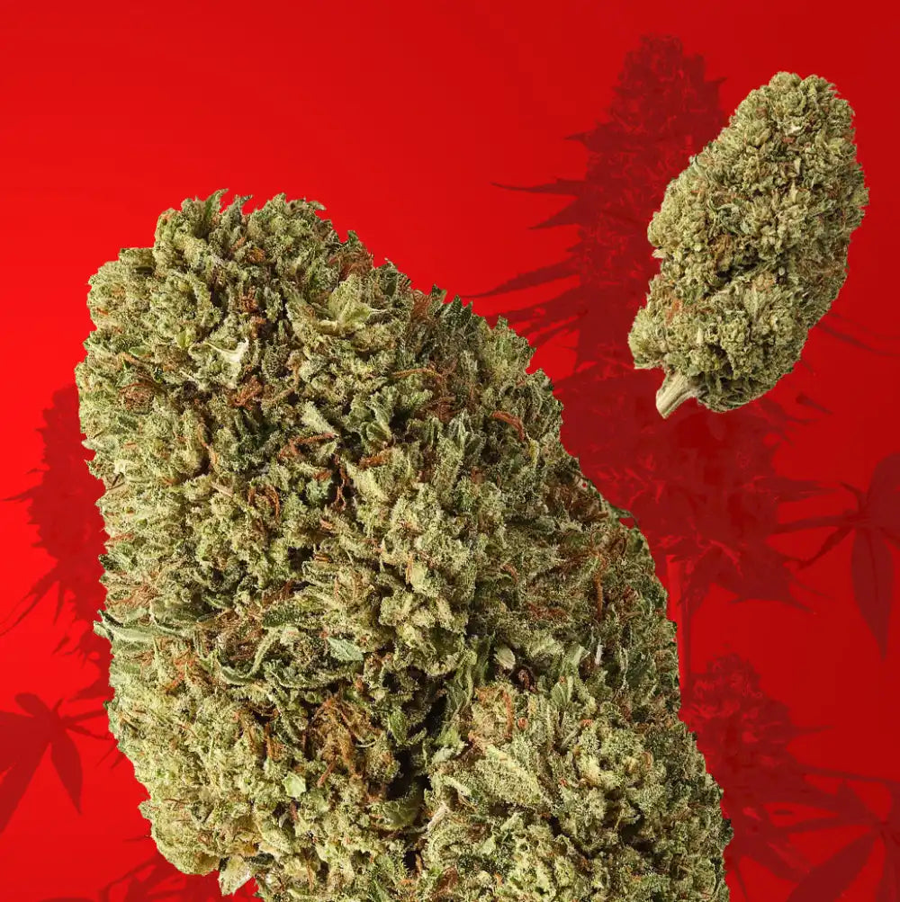 Cheap CBD flower UK2