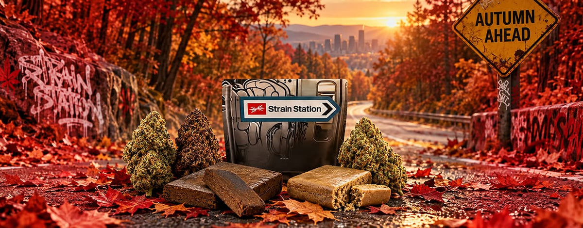Your autumn stash is waiting! slide 2