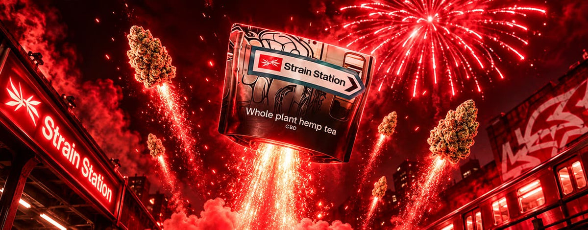 BONFIRE NIGHT JUST GOT A WHOLE LOT HOTTER! slide 1
