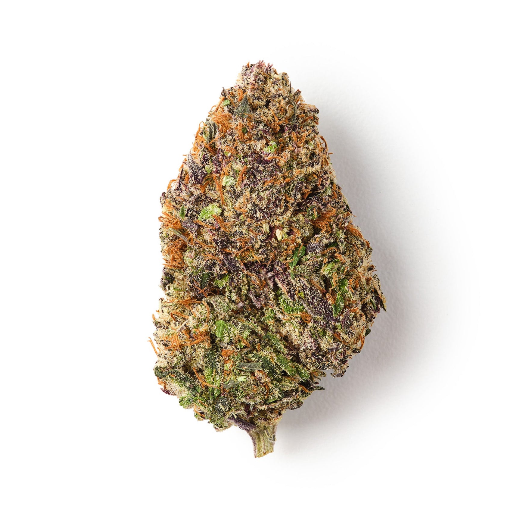 Bubba Kush / CBD Flower / Indoor-logo