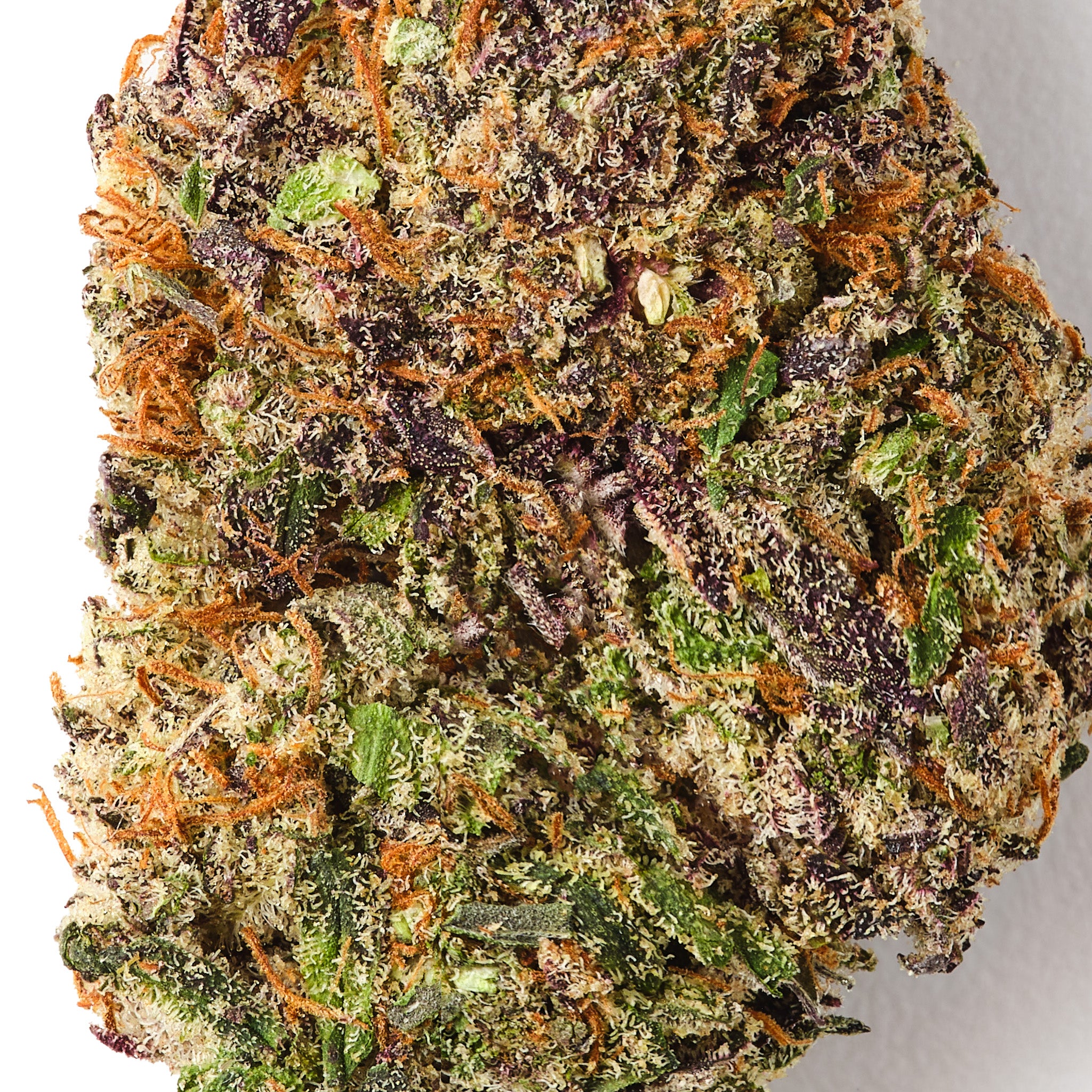 Bubba Kush / CBD Flower / Indoor1