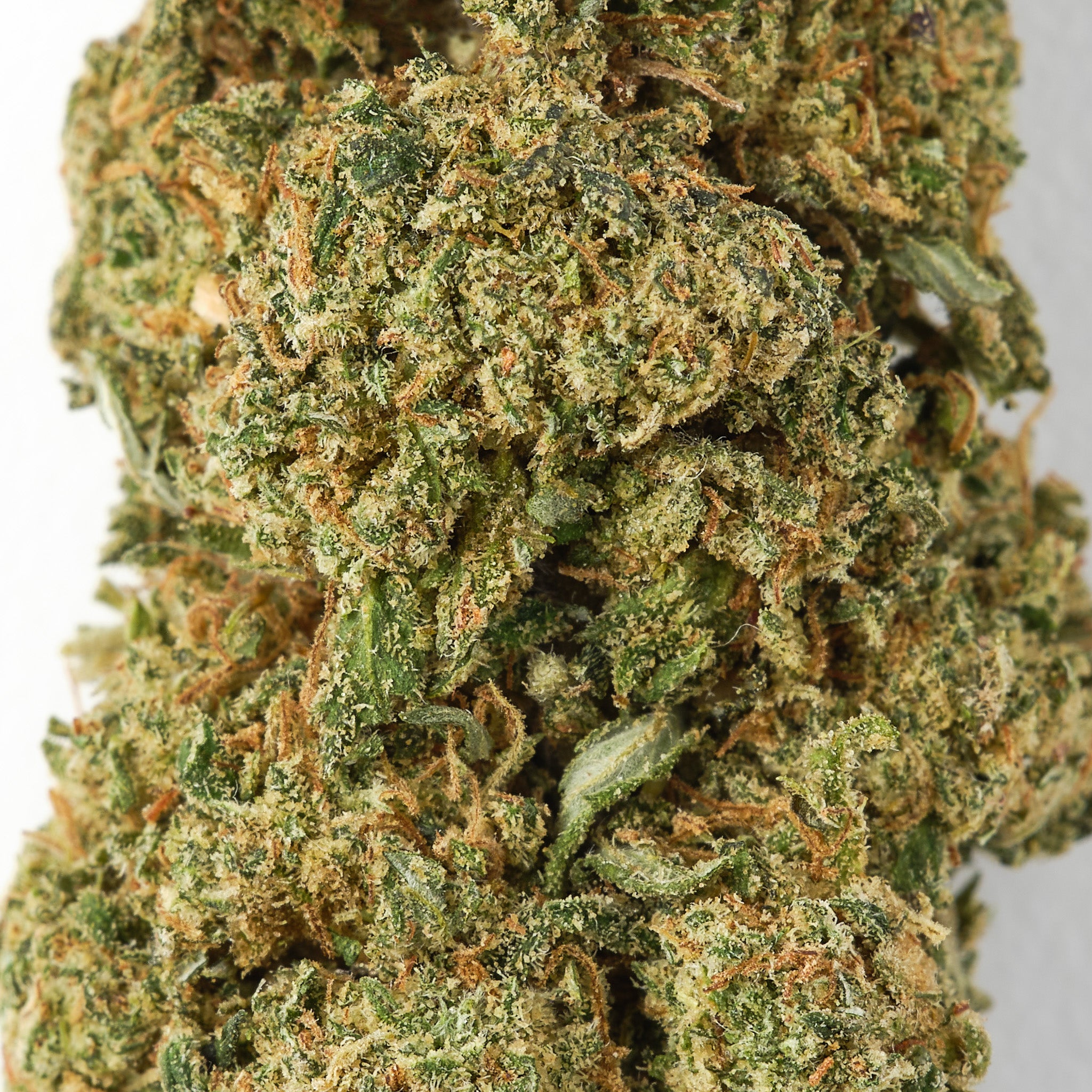 Zkittles / CBD Flower / Glasshouse1