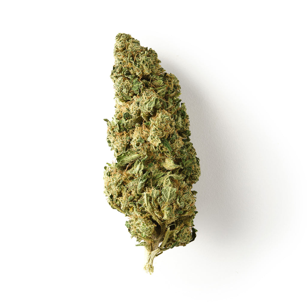 Chocolope CBD Flower Glasshouse