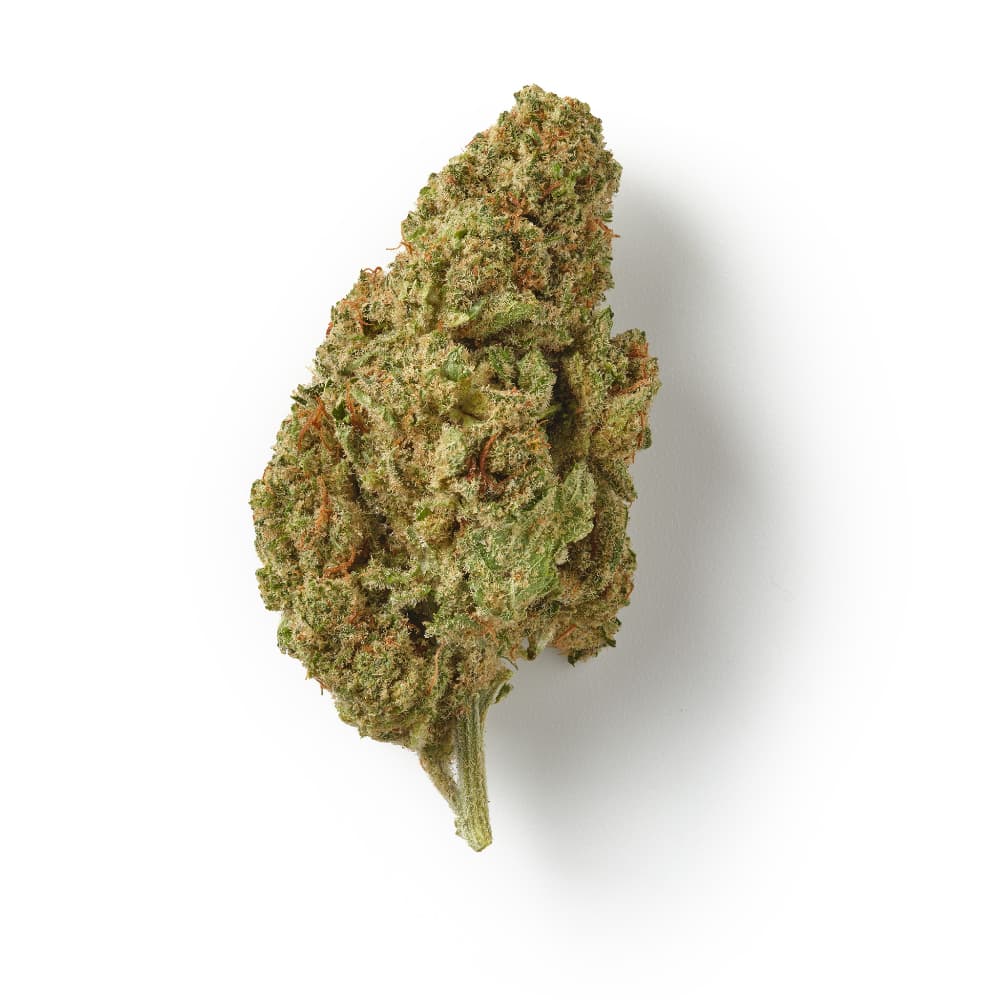 Forbidden Fruit / CBD Flower / Indoor-logo