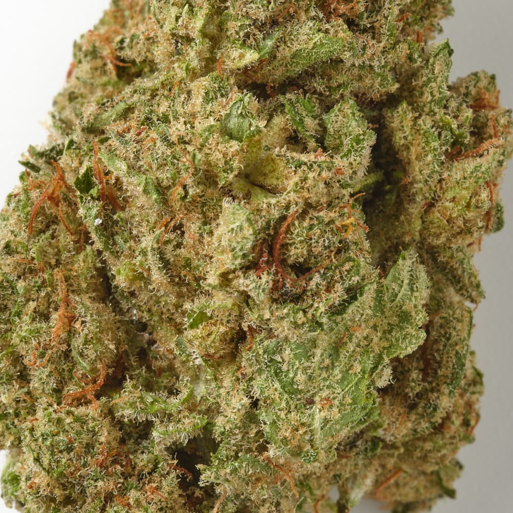 Forbidden Fruit / CBD Flower / Indoor1