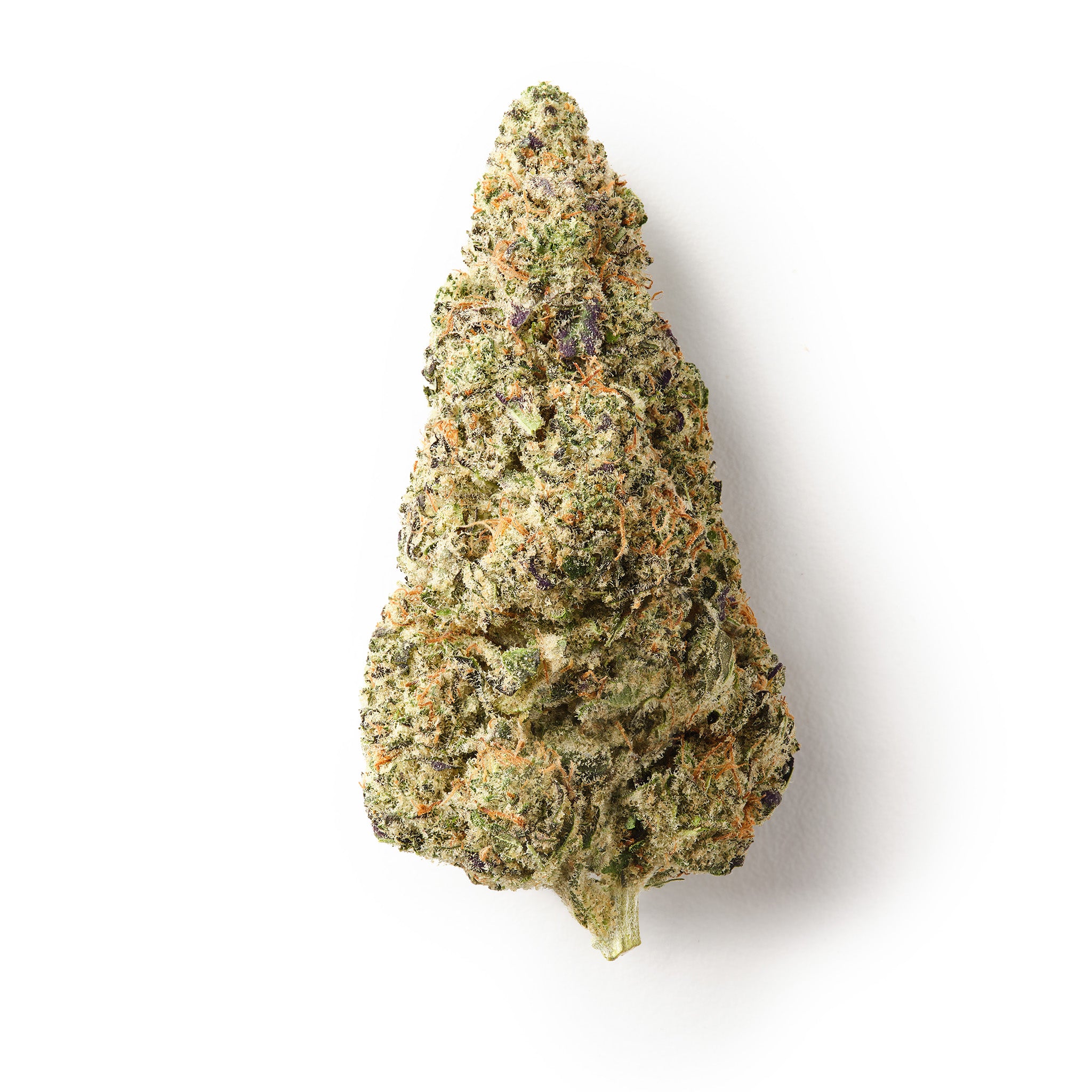 Drizzle 2.0 / CBD Flower / Indoor-logo