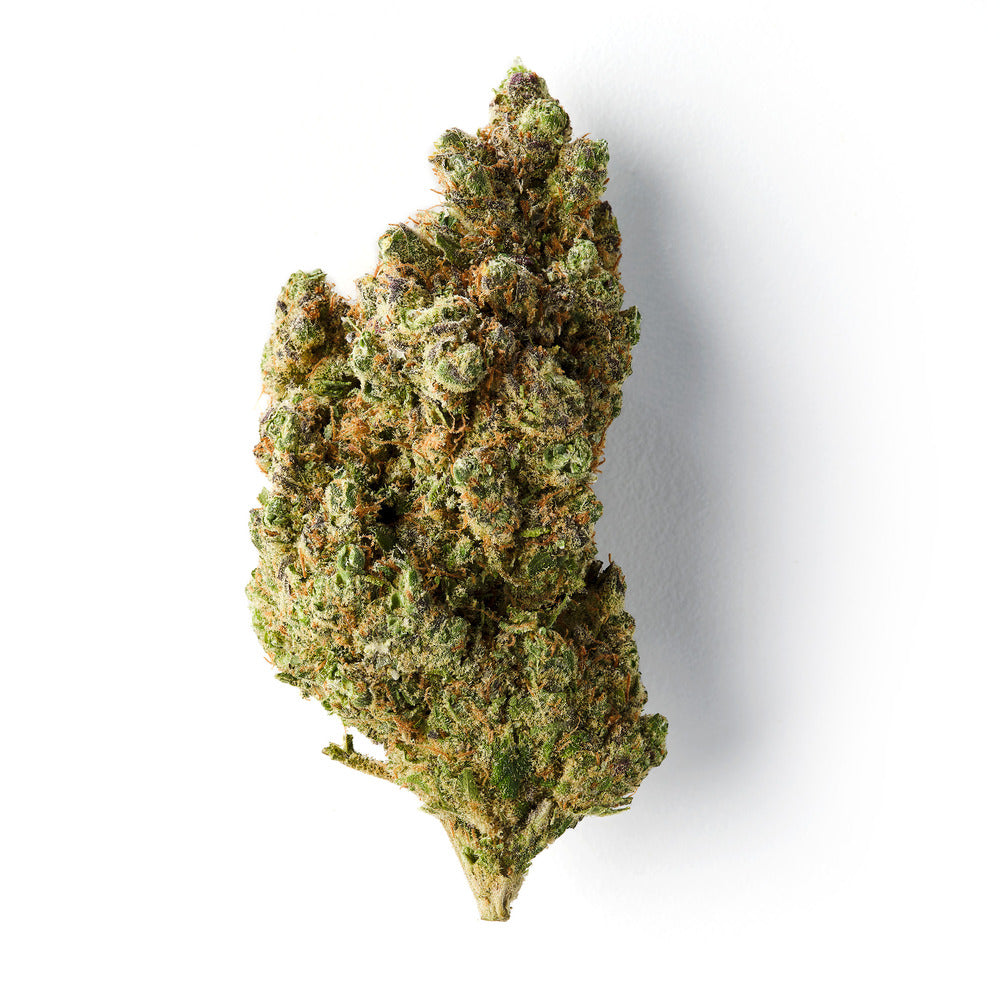 Maui / CBD Flower / Indoor-logo