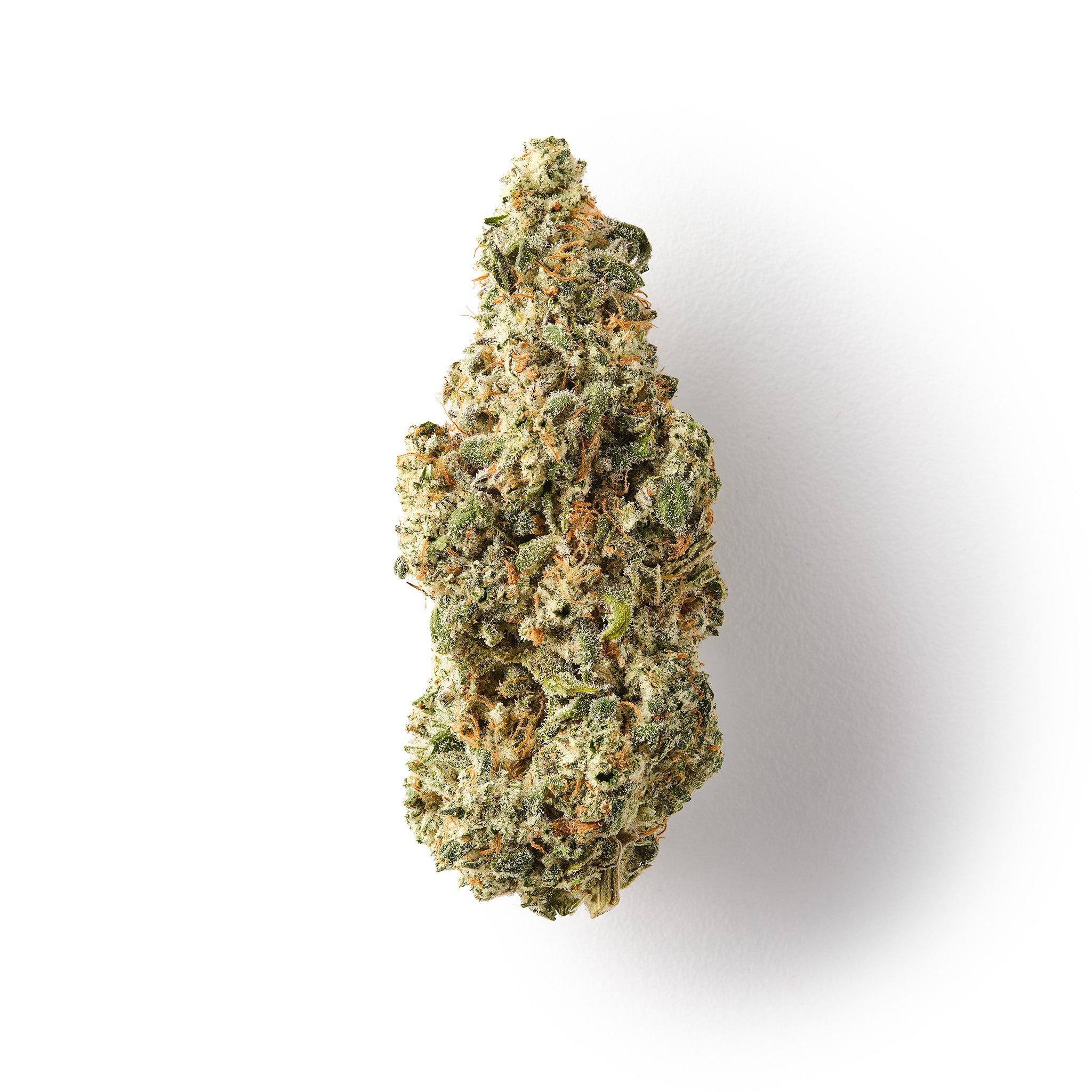GOATzilla / CBD Flower / Indoor0