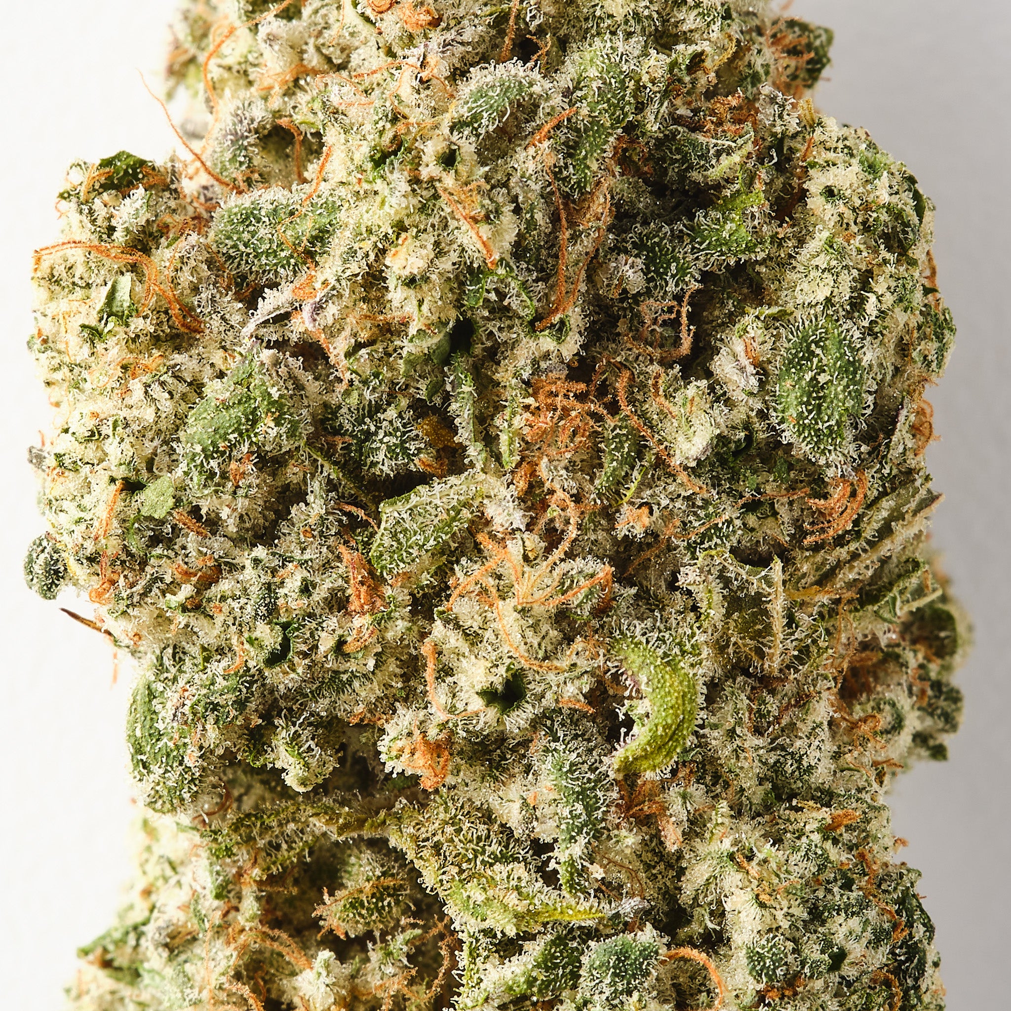 GOATzilla / CBD Flower / Indoor1