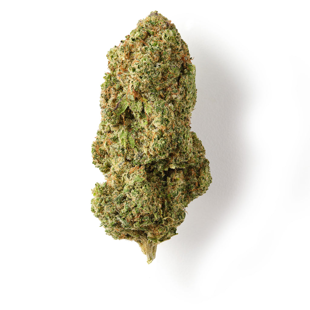 Harlequin #2 CBD Flower Indoor