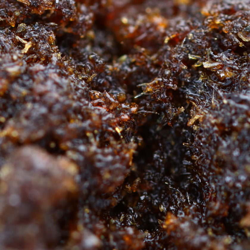 Lebanese / CBD Hash / 28% CBD2