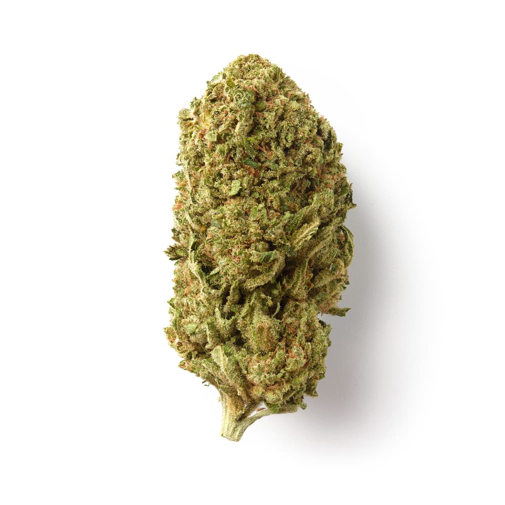 Mango Kush / CBD Flower / Glasshouse-logo