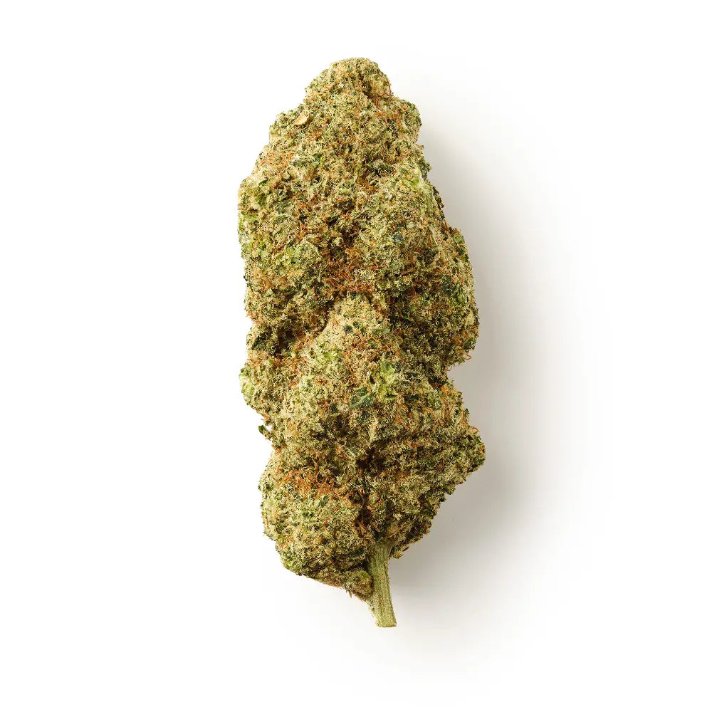 Orange Bud / CBD Flower / Indoor-logo