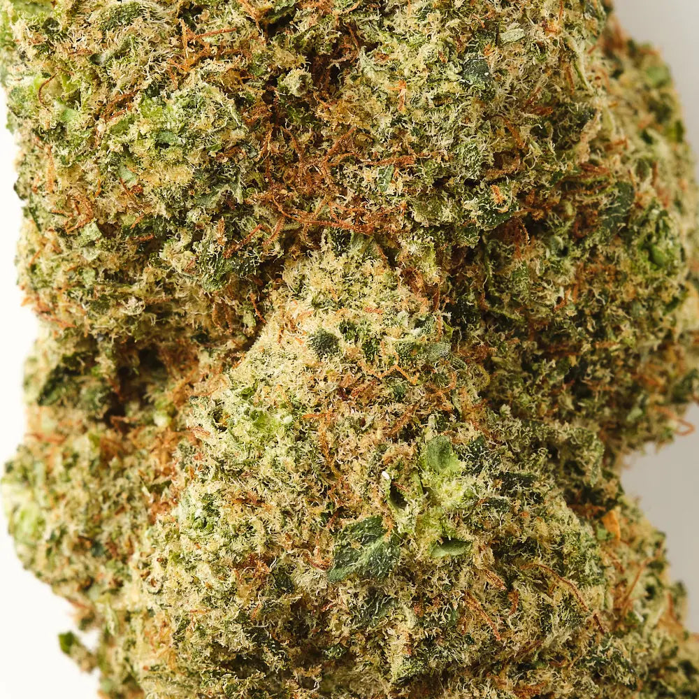 Orange Bud / CBD Flower / Indoor1