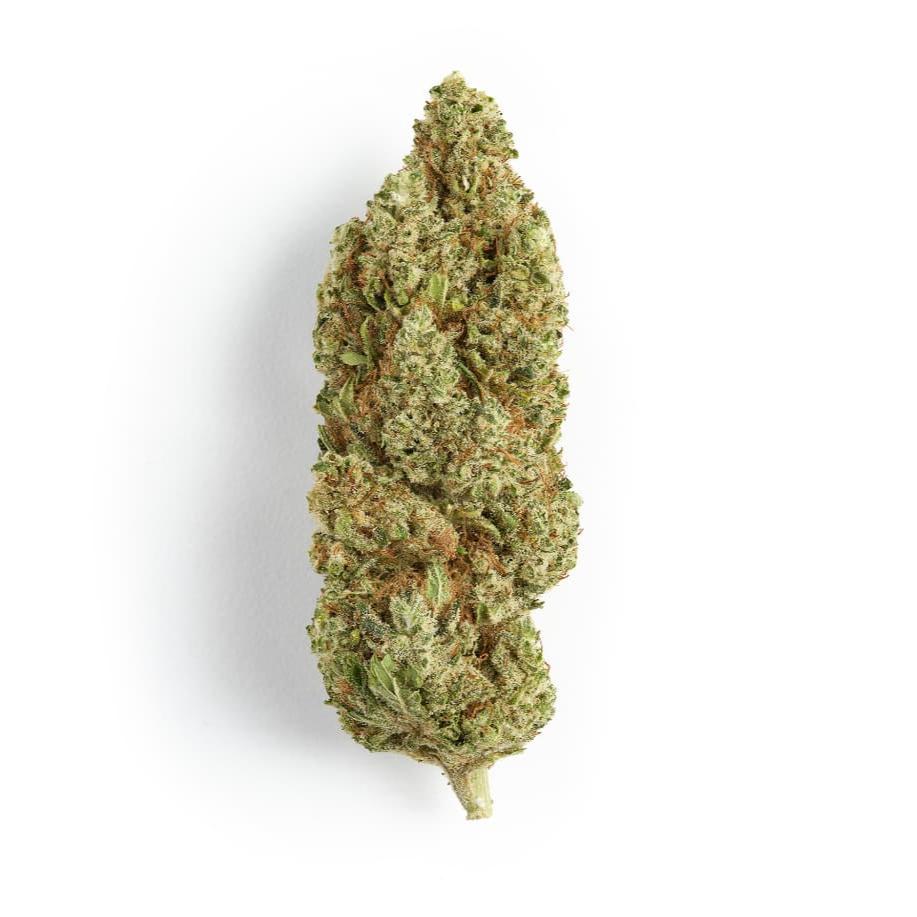 Bud CBD Flower Indoor