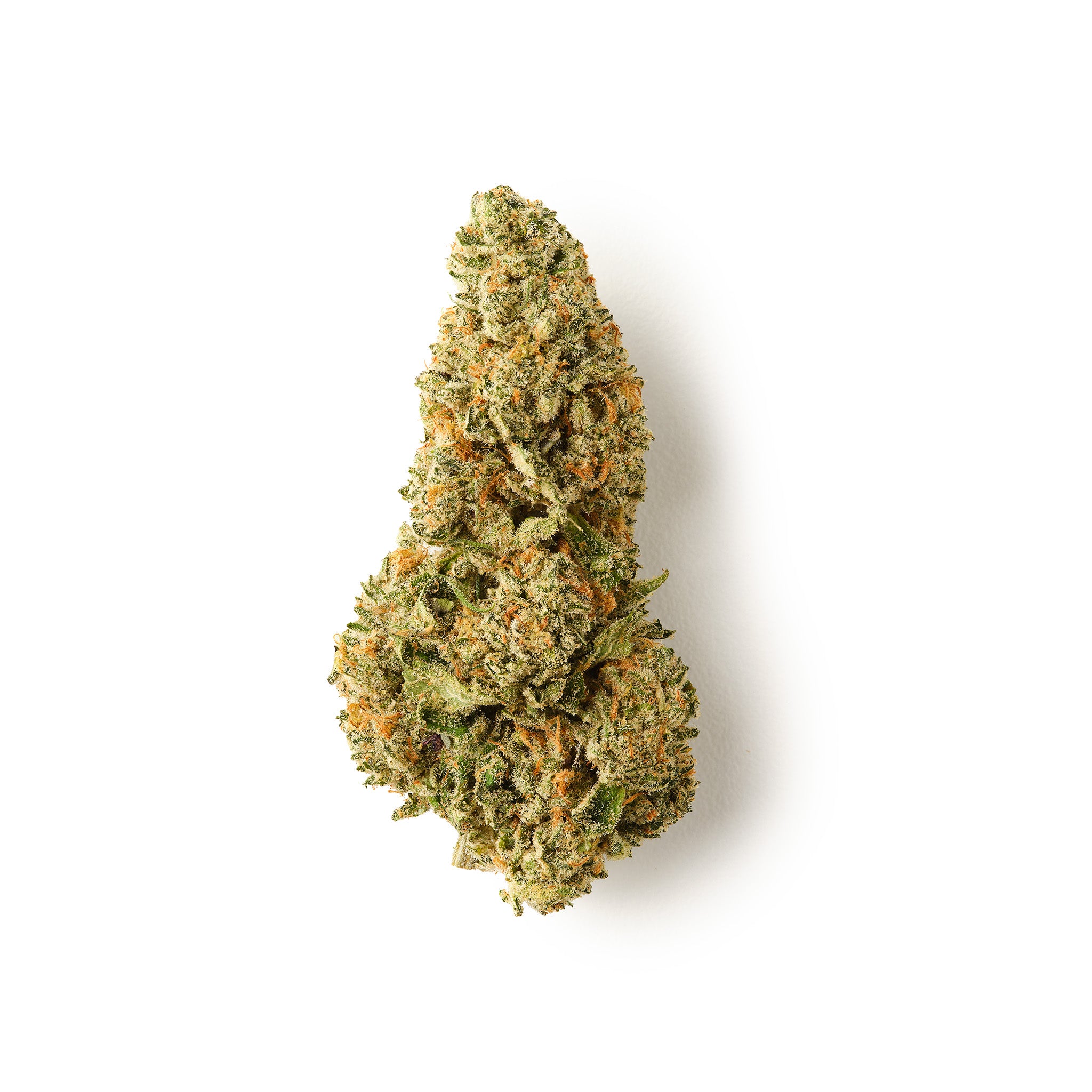 Snowing In The Dam / CBD Flower / Indoor-logo