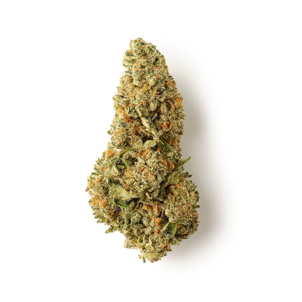 Snowing Dam CBD Flower Indoor