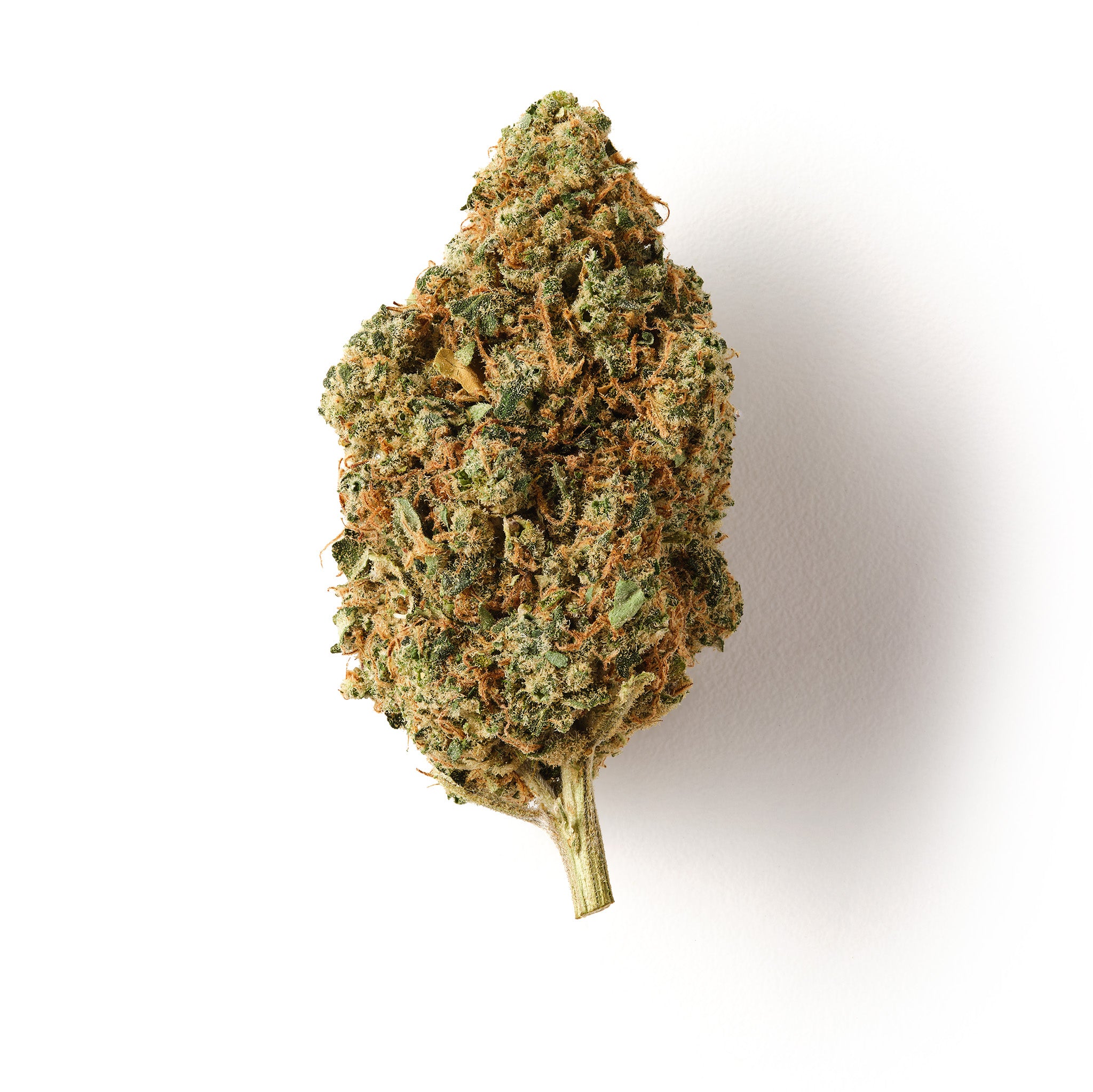 Solero Cream / CBD Flower / Indoor-logo