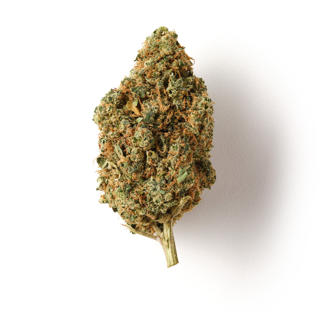 Solero CBD Flower Indoor