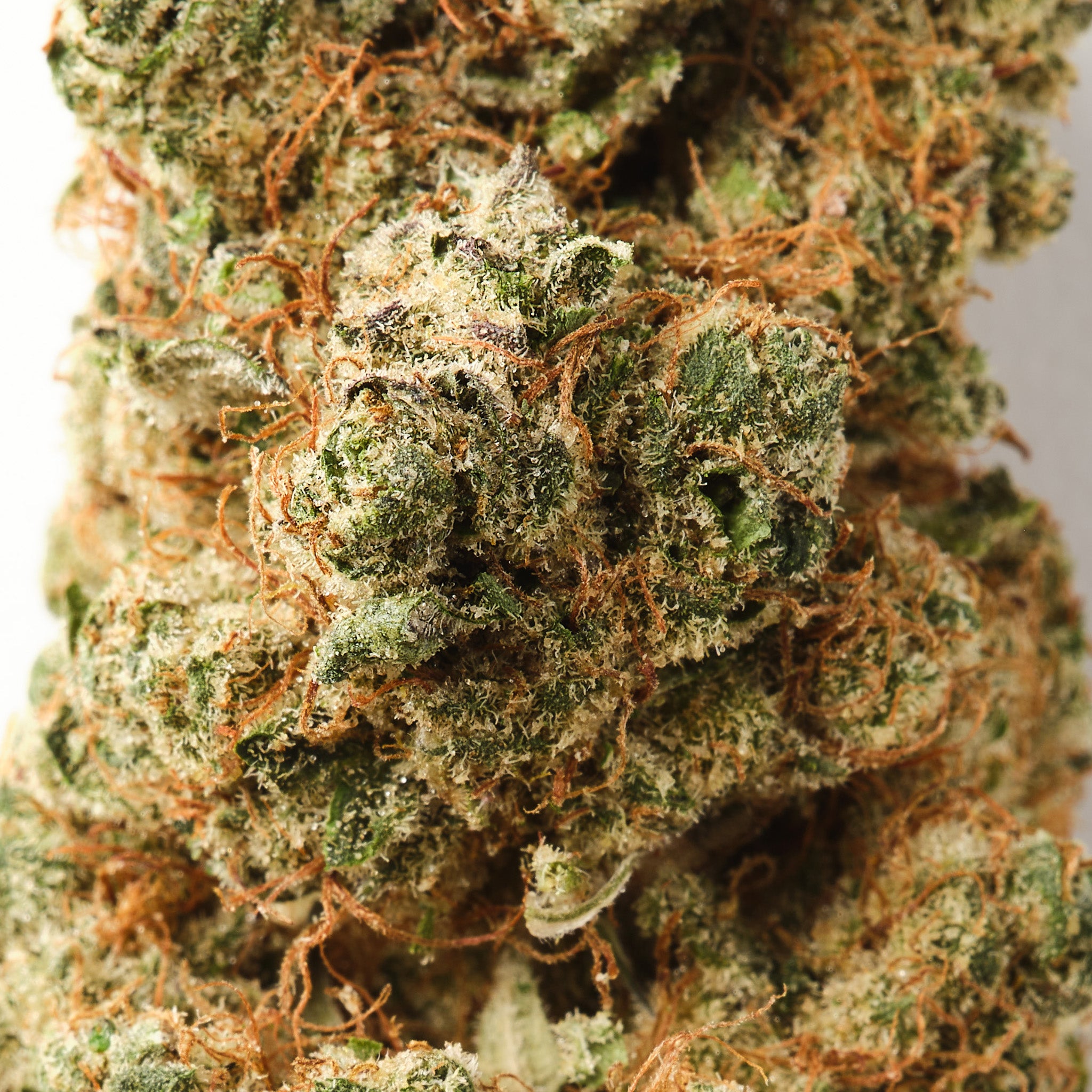 Strawberry Payton / CBD Flower / Indoor1