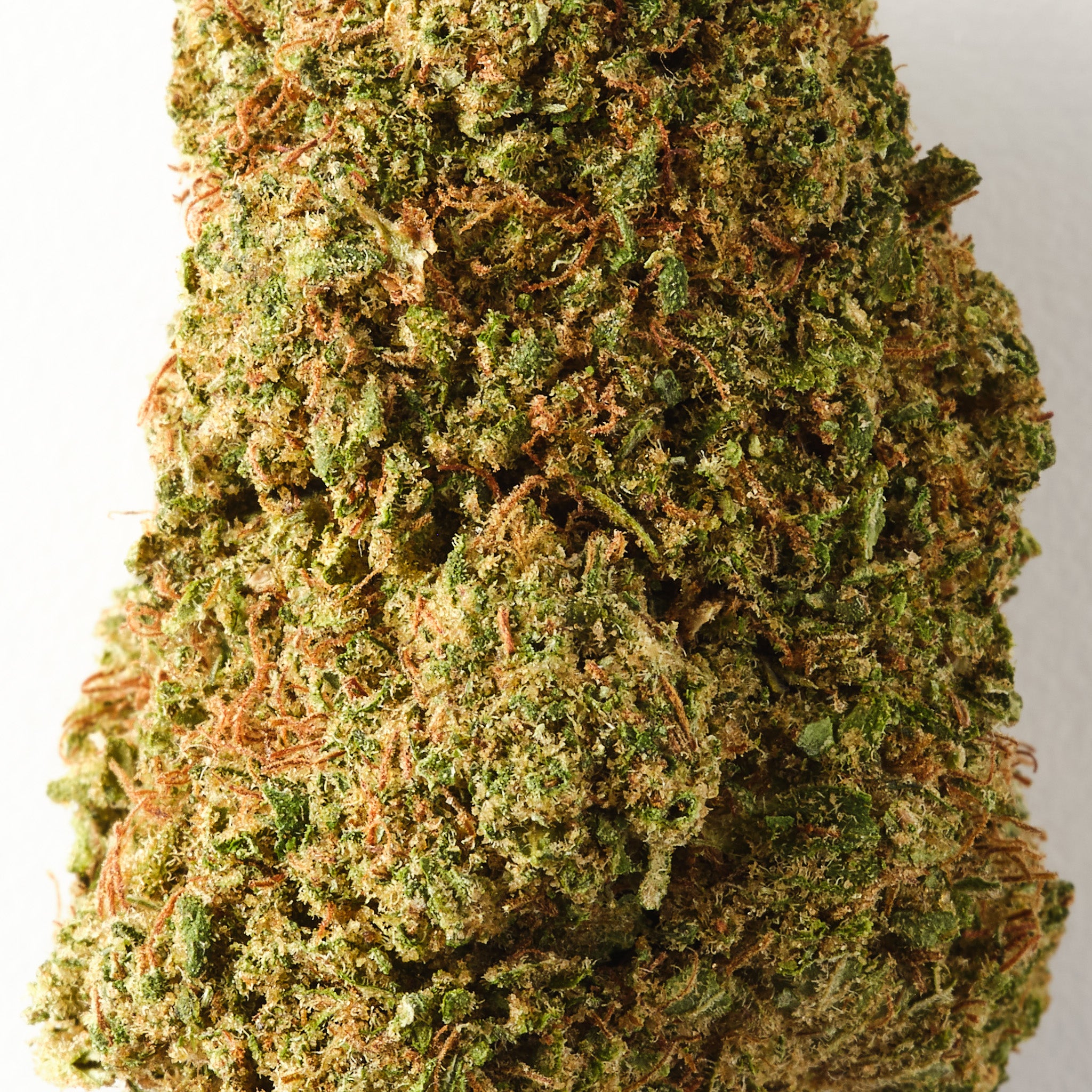 Super Silver Haze / CBD Flower / Glasshouse1