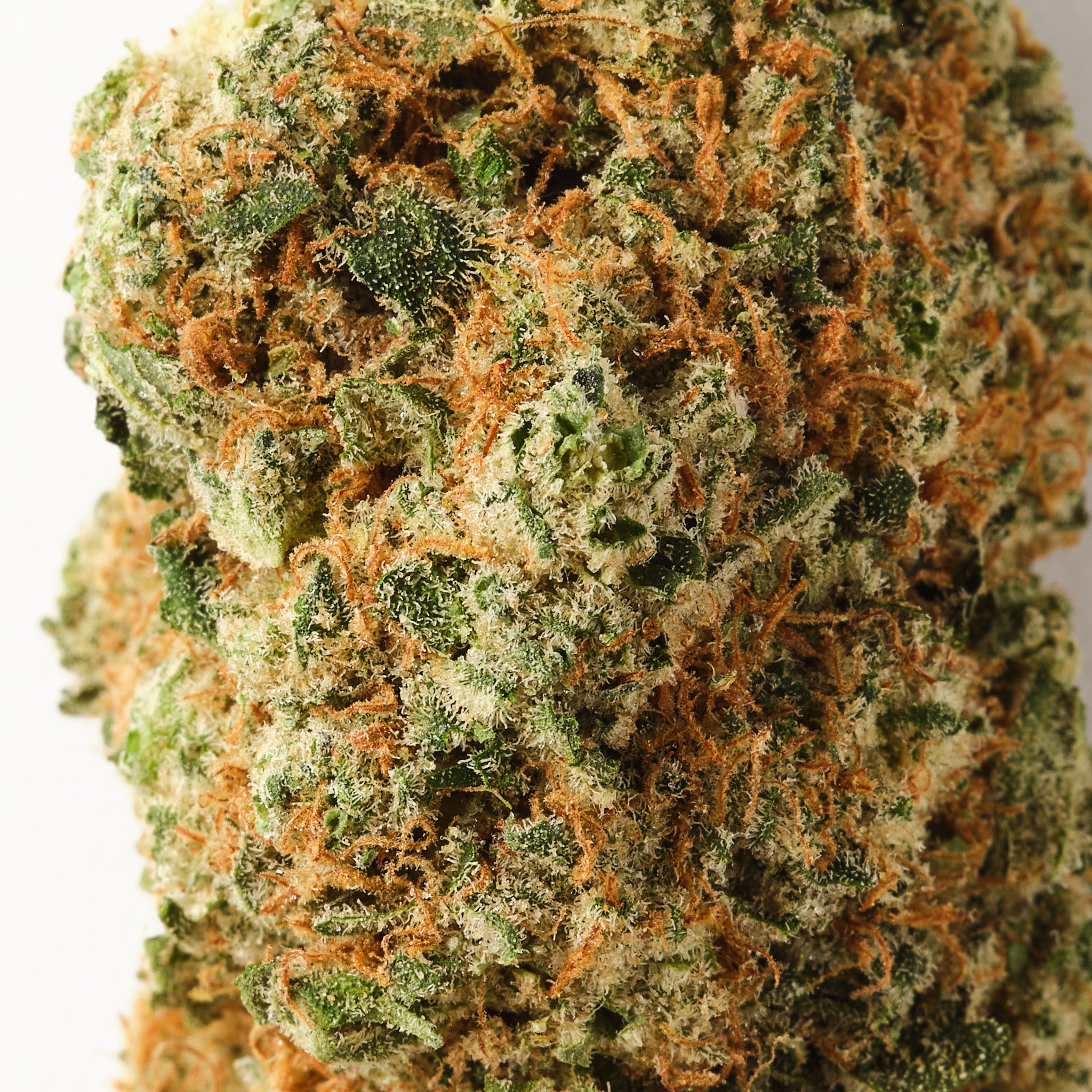 Teriyaki Sauce CBD Flower – Bold & Savoury | Strain Station1