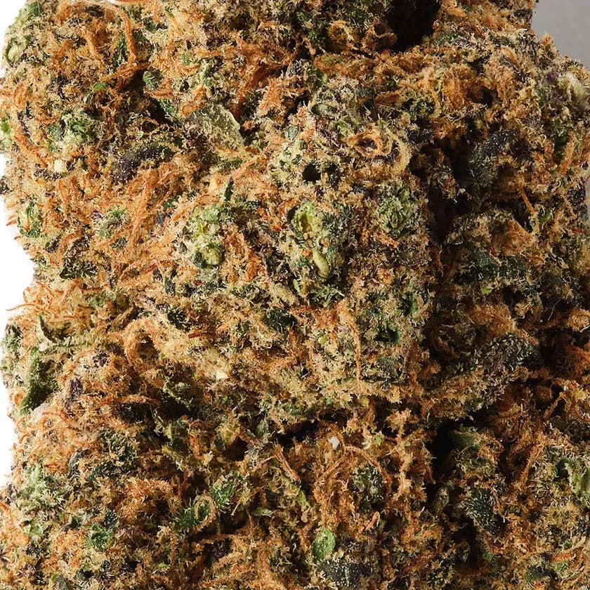 Tropical Express / CBD Flower / Indoor / 14% CBD1