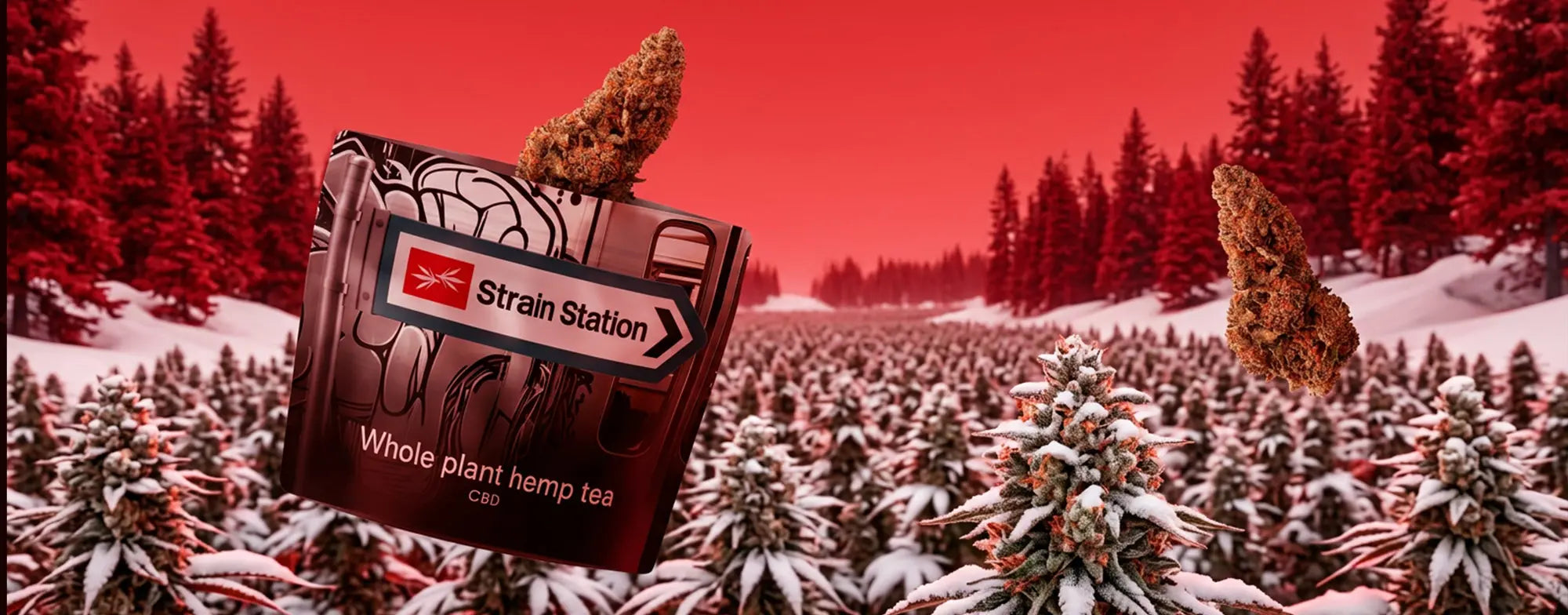 Snowing in The Dam Just Got Cooler slide 0