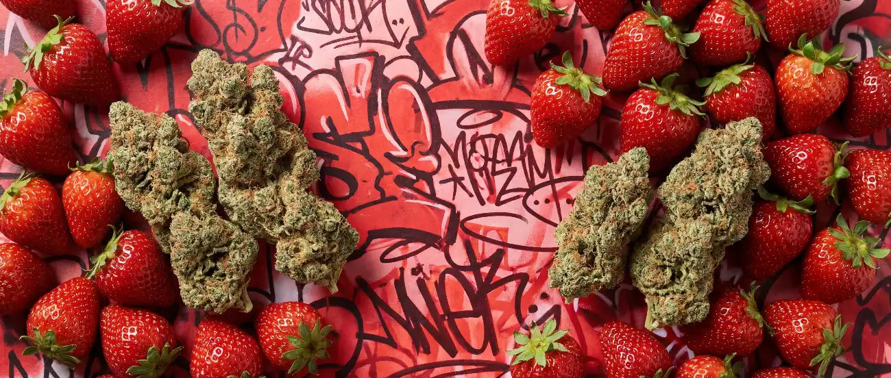 This One’s Kinda Addictive… slide 0