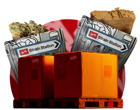There’s a CBD Flower for Everyone, All Aboard!-logo
