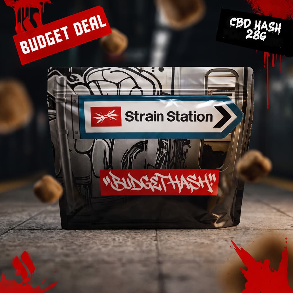 Budget CBD Hash with 20–30% CBD from Strain Station0